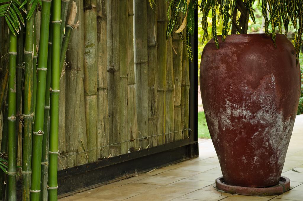Battambang Resort Zewnętrze zdjęcie