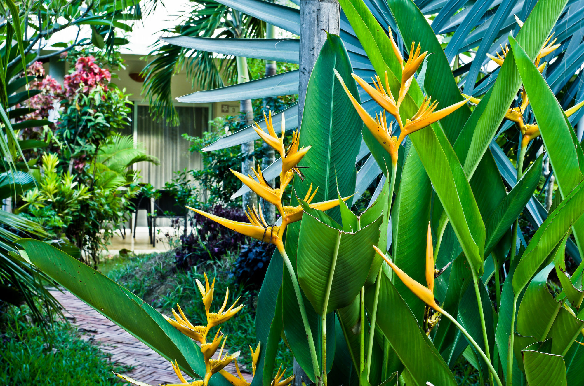 Battambang Resort Zewnętrze zdjęcie